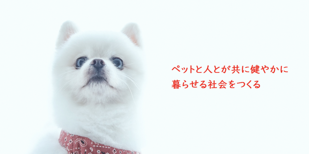 アイペット損害保険株式会社 営業 企画営業 法人向け ルートセールス 代理店営業 いい求人net